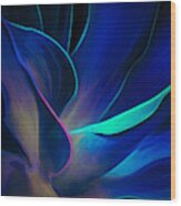 Blue Agave Wood Print
