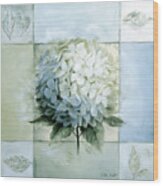 Blue Hydrangea Study 1 Wood Print