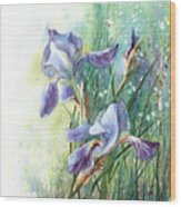 Blue Irises Fairytale Wood Print