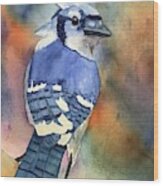 Blue Jay Wood Print