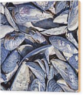 Blue Mussel Shells On The Atlantic Coast Wood Print