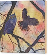 Blue Owl Wood Print