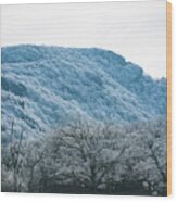 Blue Ridge Mountain Top Wood Print