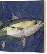 Bluefin Tuna With Lure Wood Print