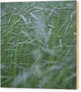 Blurry Wheat Wood Print
