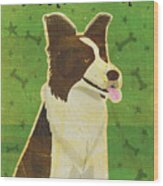 Border Collie Wood Print