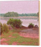 Borderland Pond With Monet's Palette Wood Print