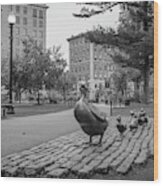 Boston Public Garden And Make Way For Ducklings Statues In Monochrome Wood Print