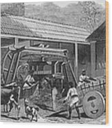 Brazilian Sugar Mill Wood Print