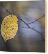 Bright Fall Leaf 1 Wood Print