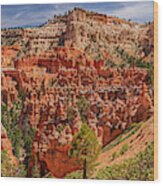 Bryce Canyon Np - Peek-a-boo Canyon Wood Print