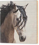 Buckskin Horse Face Wood Print