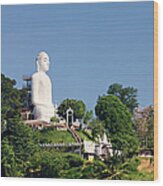 Buddha Statue, Sri Lanka, Kandy Wood Print