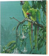 Buffons Macaws Wood Print