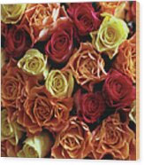 Bunch Of Fairtrade Roses From Above Wood Print