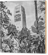 Burton Tower University Of Michigan Wood Print
