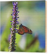 Butterfly And Flower Wood Print