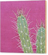 Cactus Against A Bright Pink Wall Wood Print