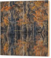 Caddo Lake 4 Wood Print