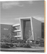 Cal State University San Bernardino College Of Education Building Wood Print