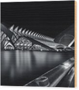 Calatrava's City Wood Print