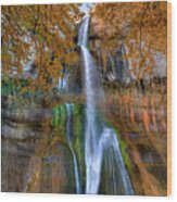 Calf Creek Falls In Utah Wood Print