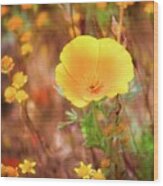 California Poppy Wood Print