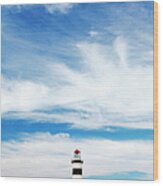 Cape Recife Lighthouse, Port Elizabeth Wood Print