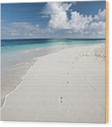 Caribbean White Sand Beach Wood Print