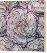 Carnations Flowers Wood Print