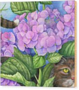 Cat In The Hydrangeas Wood Print