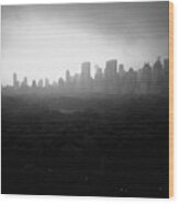 Central Park And Midtown Skyline From Wood Print