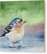 Chaffinch Wood Print