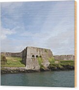 Charles Fort Wood Print