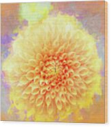 Cheery Dahlia Beauty Wood Print