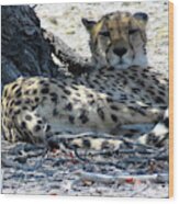 Cheetah Wood Print