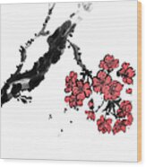 Cherry Blossoms Wood Print