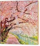 Cherry Trees In Bloom Wood Print