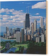 Chicago, Lincoln Park And Diversey Wood Print