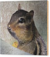 Chipmunk Caught In The Act Wood Print