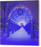 Christopher Columbus Park Trellis Lit Up For Christmas Snowstorm Boston Ma Bench Wood Print