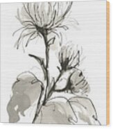 Chrysanthemum I Wood Print