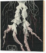 Chrysaora Cyclonota Wood Print