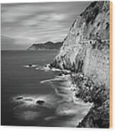 Cinque Terre, Italy Wood Print