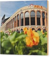 Citifield Preview Wood Print