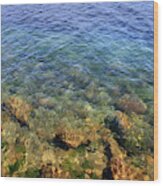 Clear Water At Morro Bay Wood Print