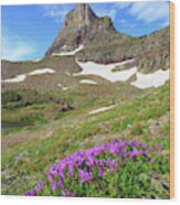 Clements Mountain Blooms Wood Print