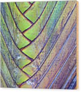 Closeup Of Palm Wood Print