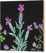 Clover Lavender And Sweet Pea Wildflowers Wood Print