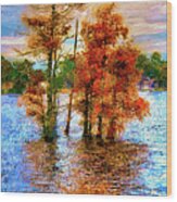 Coastal Autumn In North Carolina Ap Wood Print
